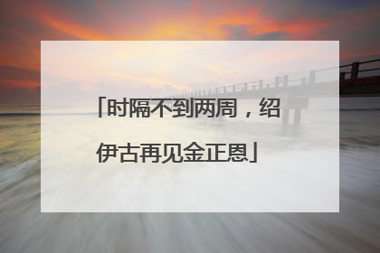 时隔不到两周，绍伊古再见金正恩
