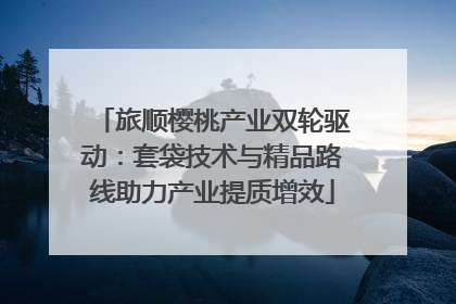 旅顺樱桃产业双轮驱动：套袋技术与精品路线助力产业提质增效
