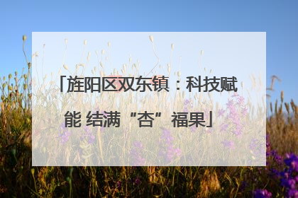 旌阳区双东镇：科技赋能 结满“杏”福果
