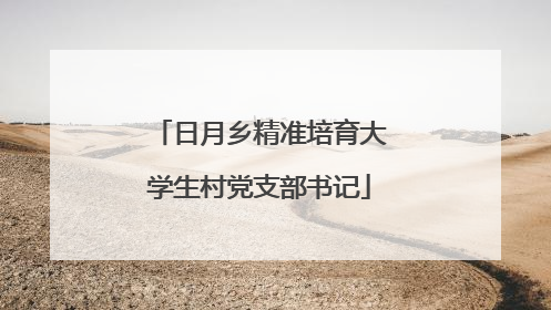日月乡精准培育大学生村党支部书记