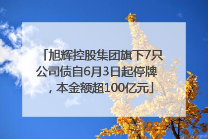 旭辉控股集团旗下7只公司债自6月3日起停牌，本金额超100亿元