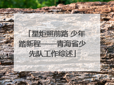 星炬照前路 少年踏新程——青海省少先队工作综述