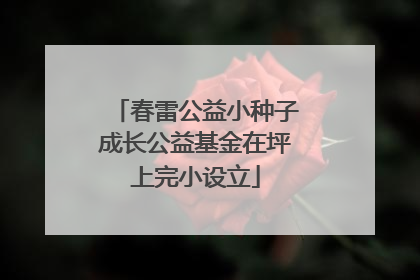 春雷公益小种子成长公益基金在坪上完小设立