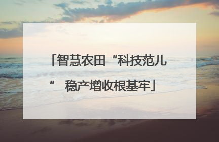 智慧农田“科技范儿” 稳产增收根基牢