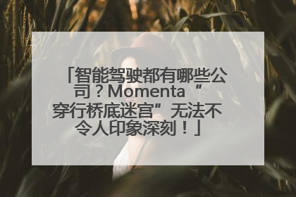智能驾驶都有哪些公司？Momenta“穿行桥底迷宫”无法不令人印象深刻！