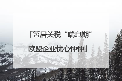 暂居关税“喘息期” 欧盟企业忧心忡忡