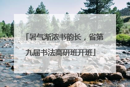 暑气渐浓书韵长，省第九届书法高研班开班