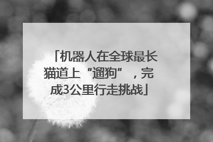 机器人在全球最长猫道上“遛狗”，完成3公里行走挑战