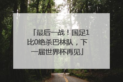 最后一战！国足1比0绝杀巴林队，下一届世界杯再见