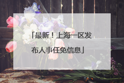 最新！上海一区发布人事任免信息