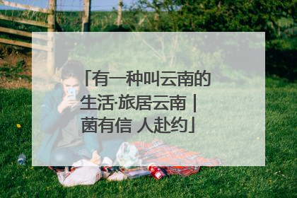 有一种叫云南的生活·旅居云南｜菌有信 人赴约