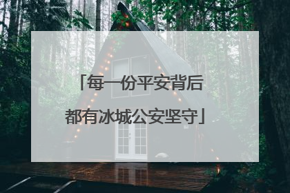 每一份平安背后 都有冰城公安坚守