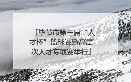 毕节市第三届“人才杯”篮球赛暨高层次人才专项赛举行