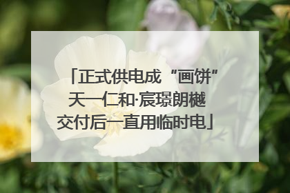 正式供电成“画饼” 天一仁和·宸璟朗樾交付后一直用临时电