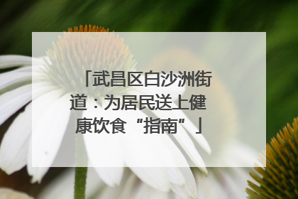 武昌区白沙洲街道：为居民送上健康饮食“指南”