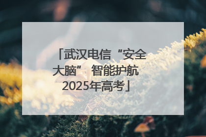 武汉电信“安全大脑” 智能护航2025年高考