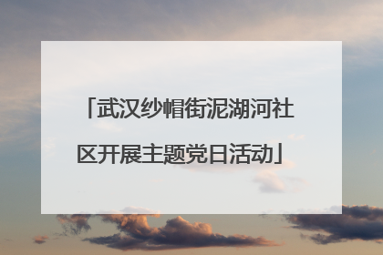 武汉纱帽街泥湖河社区开展主题党日活动