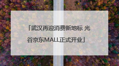 武汉再迎消费新地标 光谷京东MALL正式开业