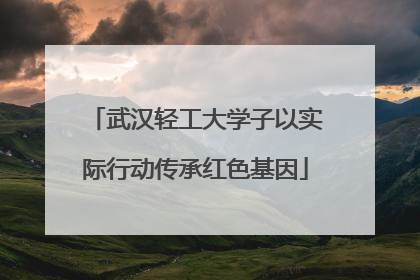 武汉轻工大学子以实际行动传承红色基因