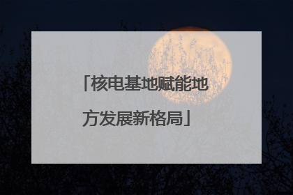 核电基地赋能地方发展新格局