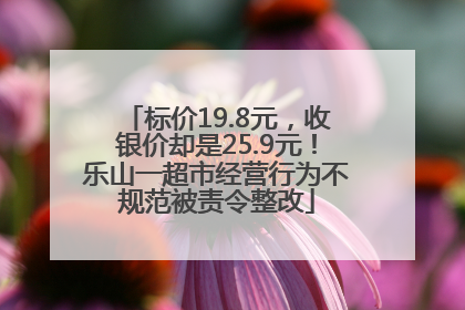 标价19.8元，收银价却是25.9元！乐山一超市经营行为不规范被责令整改