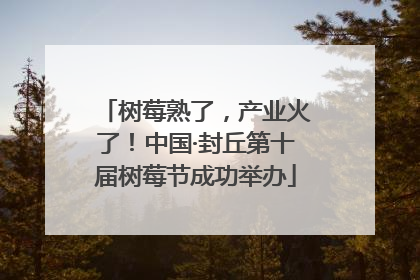 树莓熟了，产业火了！中国·封丘第十届树莓节成功举办