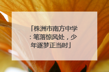 株洲市南方中学：笔落惊风处，少年逐梦正当时
