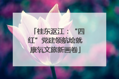 桂东沤江：“四红”党建领航绘就康氧文旅新画卷