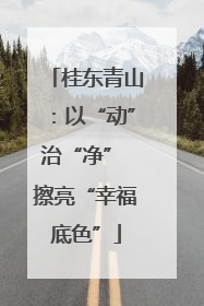 桂东青山：以“动”治“净” 擦亮“幸福底色”