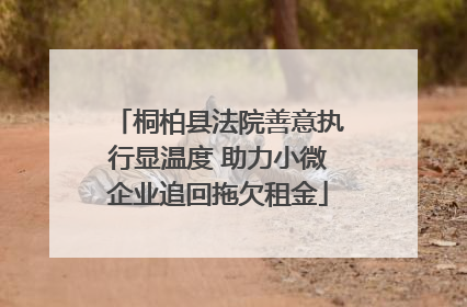 桐柏县法院善意执行显温度 助力小微企业追回拖欠租金