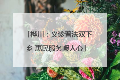 桦川：义诊普法双下乡 惠民服务暖人心