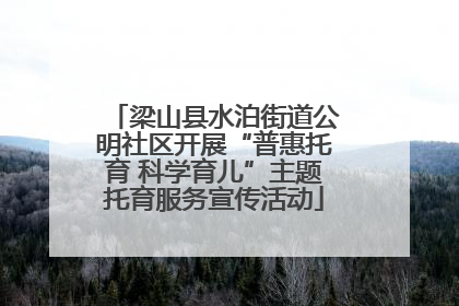 梁山县水泊街道公明社区开展“普惠托育 科学育儿”主题托育服务宣传活动