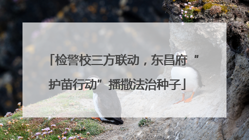 检警校三方联动，东昌府“护苗行动”播撒法治种子