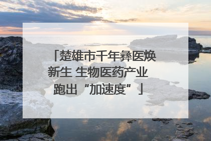 楚雄市千年彝医焕新生 生物医药产业跑出“加速度”