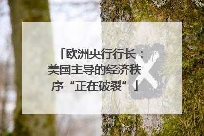 欧洲央行行长：美国主导的经济秩序“正在破裂”