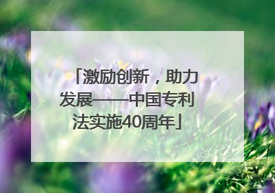 激励创新，助力发展——中国专利法实施40周年
