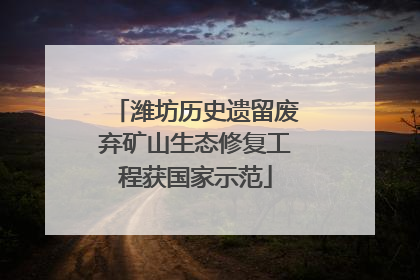 潍坊历史遗留废弃矿山生态修复工程获国家示范