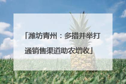 潍坊青州：多措并举打通销售渠道助农增收