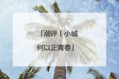 潮评丨小城何以正青春
