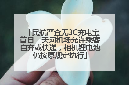 民航严查无3C充电宝首日：天河机场允许乘客自弃或快递，相机锂电池仍按原规定执行