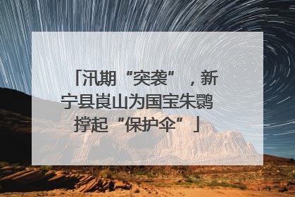 汛期“突袭”，新宁县崀山为国宝朱鹮撑起“保护伞”