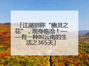 江湖别称“幽灵之花”，现身临沧！——有一种叫云南的生活之365天