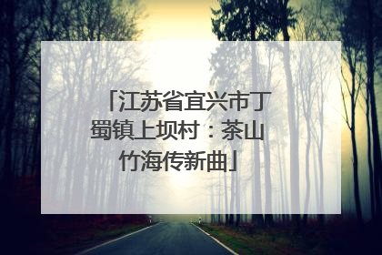 江苏省宜兴市丁蜀镇上坝村：茶山竹海传新曲