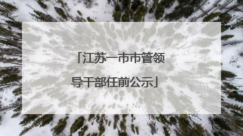 江苏一市市管领导干部任前公示