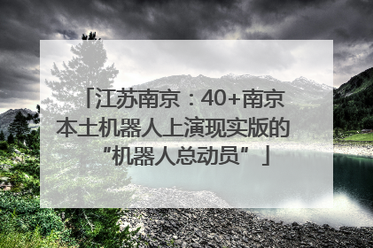 江苏南京：40+南京本土机器人上演现实版的“机器人总动员”