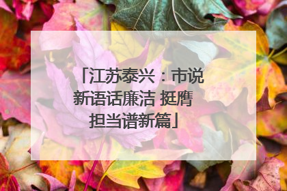 江苏泰兴：市说新语话廉洁 挺膺担当谱新篇