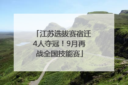 江苏选拔赛宿迁4人夺冠！9月再战全国技能赛