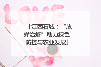 江西石城：“放蜂治蚜”助力绿色防控与农业发展