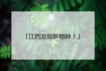 江西发现新物种！