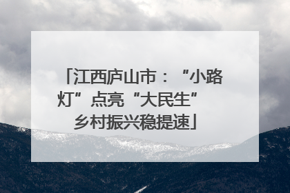 江西庐山市：“小路灯”点亮“大民生” 乡村振兴稳提速